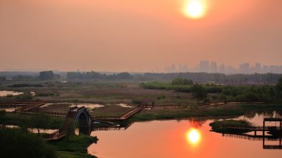 阳明滩湿地