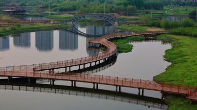 阳明滩湿地