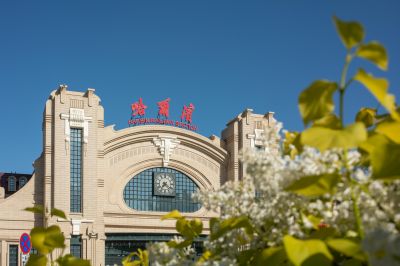 哈尔滨火车站广场丁香花开