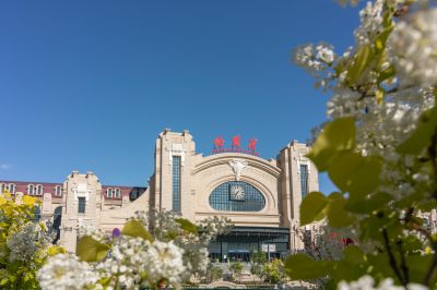 哈尔滨火车站广场丁香花开