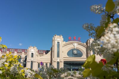 哈尔滨火车站广场丁香花开