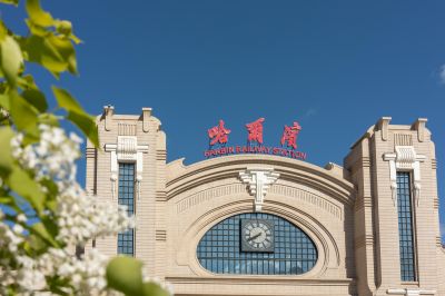 哈尔滨火车站广场丁香花开