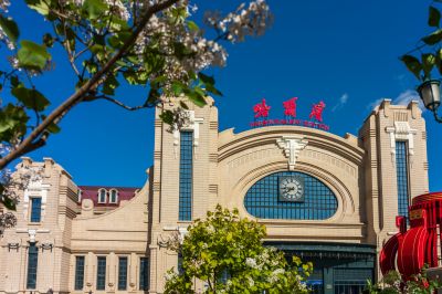 哈尔滨火车站广场丁香花开