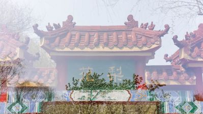 古梨园花开