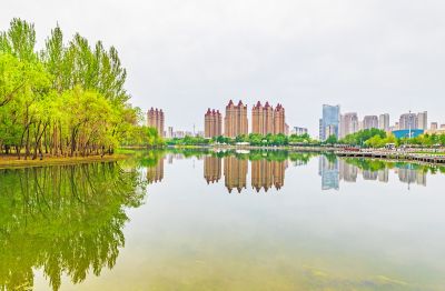 春天的体育公园