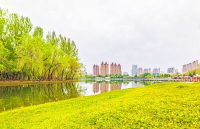 春天的体育公园