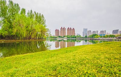春天的体育公园