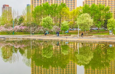 春天的体育公园