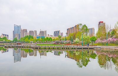春天的体育公园