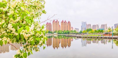 春天的体育公园