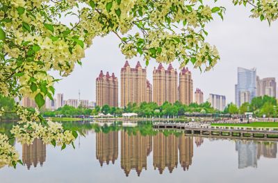 春天的体育公园