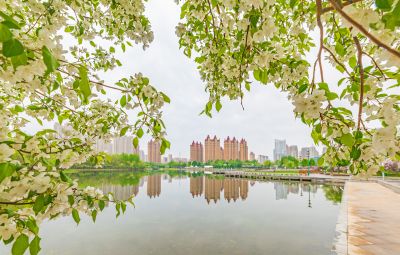 春天的体育公园