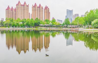 春天的体育公园丁香花