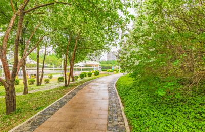 春天的体育公园丁香花