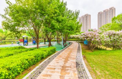 春天的体育公园丁香花