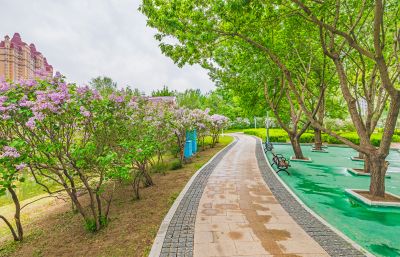 春天的体育公园丁香花