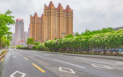 春天的体育公园丁香花