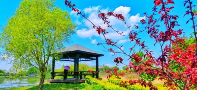 初夏太阳岛
