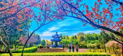 初夏中国亭园