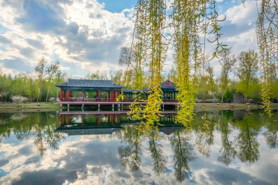 彩色的中国亭园