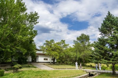 太阳岛夏日
