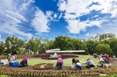 太阳岛夏日