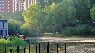 雨阳公园清晨