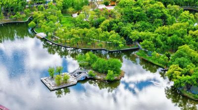 初夏哈尔滨
