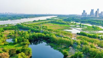 初夏哈尔滨