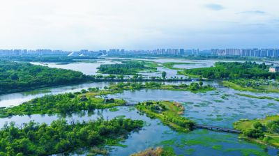 初夏哈尔滨