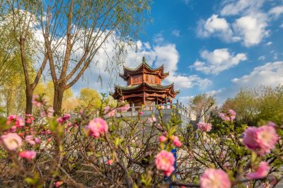 初夏彩色的中国亭园春华盛开