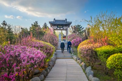 初夏彩色的中国亭园春华盛开