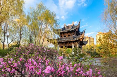 彩色的中国亭园春花盛开