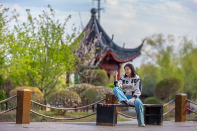 彩色的中国亭园春花盛开