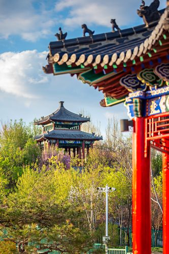 彩色的中国亭园春花盛开