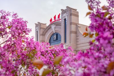 哈尔滨火车站站前广场丁香盛开香满冰城