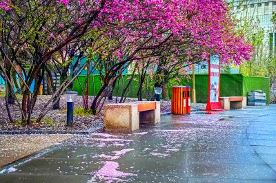 细雨中的道里江畔 