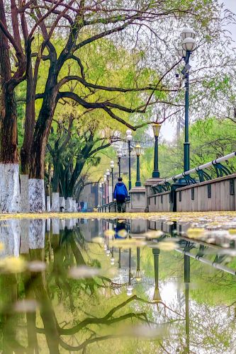 细雨中的道里九站公园江畔 