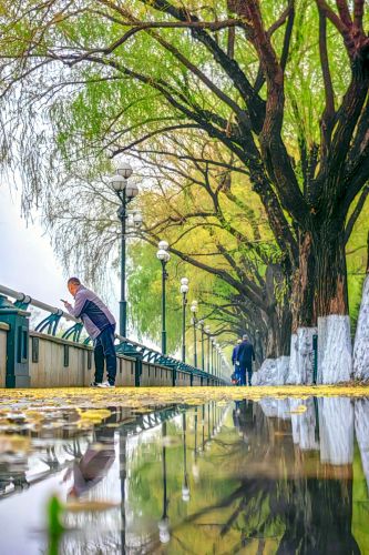 细雨中的道里九站公园江畔 
