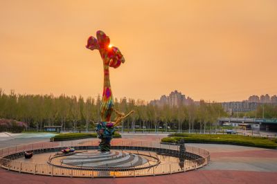 晨光中的丁香公园丁香满园