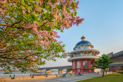 松花江公路大桥桥头丁香花盛开