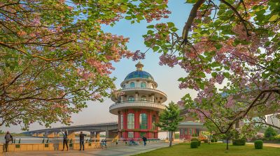 松花江公路大桥桥头丁香花盛开