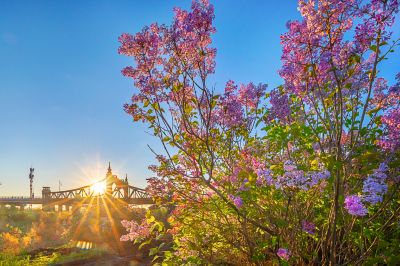 初夏季节彩色道里区