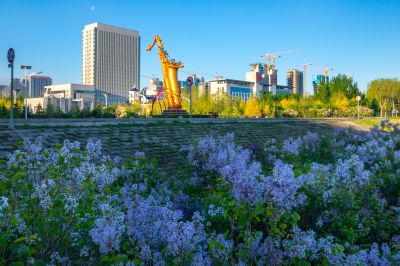 初夏季节彩色道里区