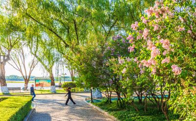 江畔初夏九站公园