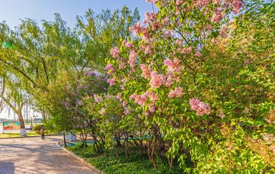 江畔初夏九站公园