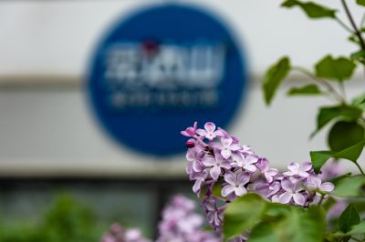 防洪纪念塔江边