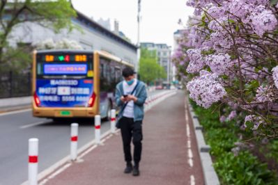 松花江畔斯大林公园九站公园丁香花盛开