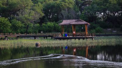 太阳岛