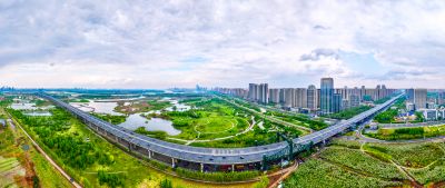 阳明滩大桥 阳明滩湿地丁香花海